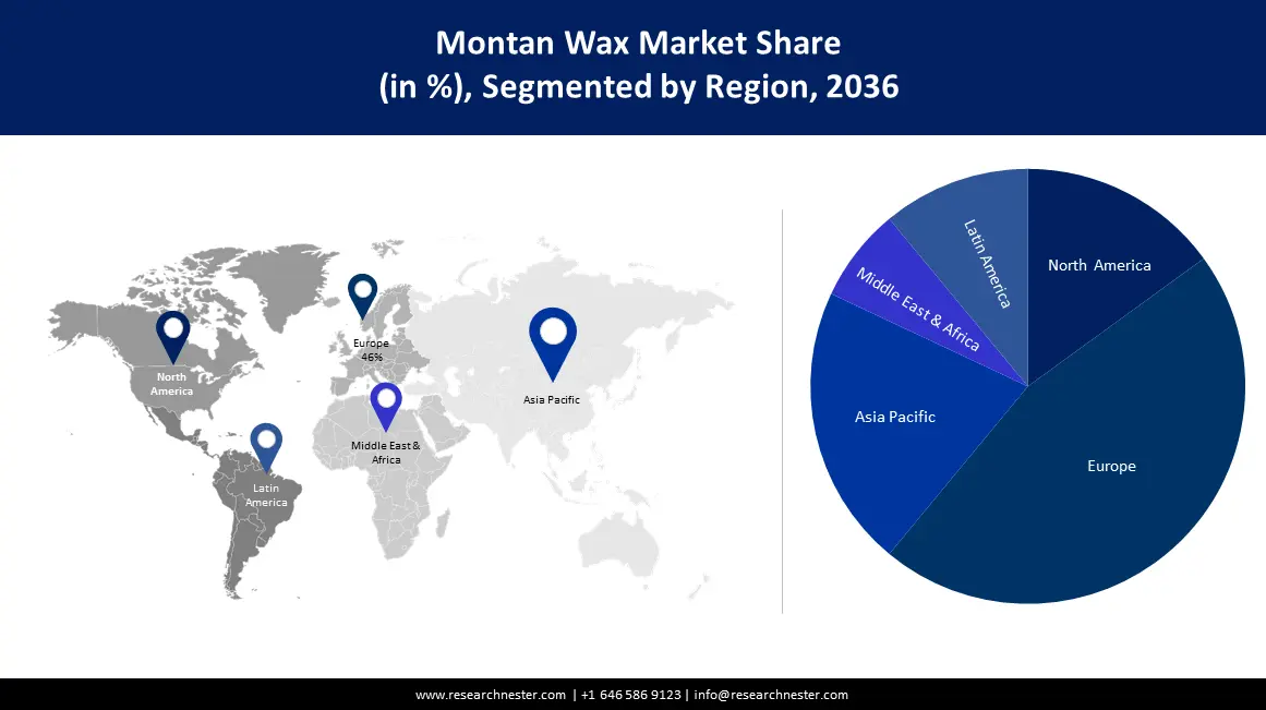 Montan Wax Market size
